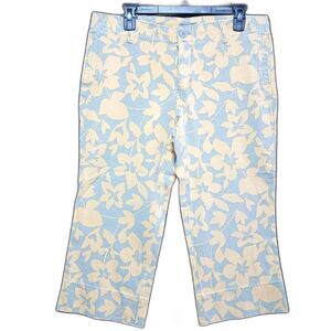 American‎ Eagle Outfitters Capri Shorts 10 Button Fly Low Rise Flare #1206